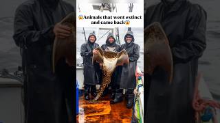 😱Animals that went extinct and can back 😱