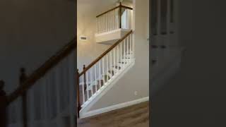 Home In The Woodlands, Check It Out