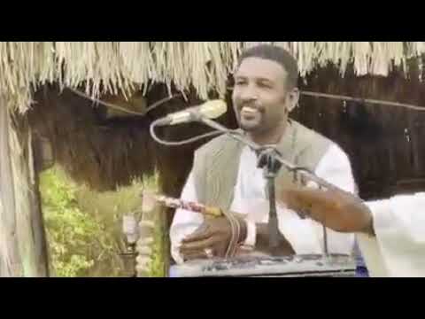 حافظ الباسا قماري قوقي جلسات طمبور 2021