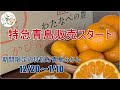 早生みかん終了の感謝と特急青島スタートします