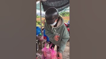 Hoa Cúc Đại Đoá Tết 2023 Khu T Tí Dãnh 2 Thọ Bé 23/10 ÂL D 1M2 1M 85 60 CÔNG TY CP SX HOA CÚC A NHÀN