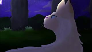 Drawing With Capricorn #1 // A Star Guided Cat