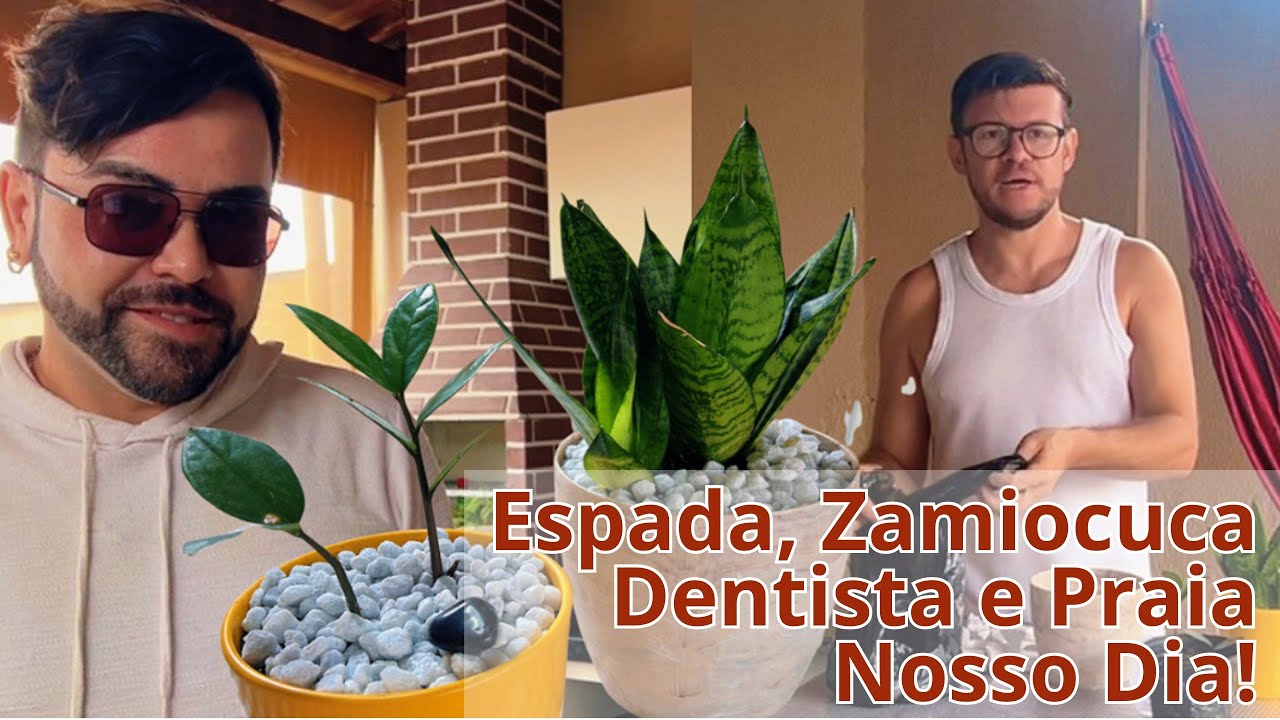 Zamiocuca e Espada | Plantinhas felizes, sol e mar! Vem passar o dia com a gente! 🌱☀️🌊