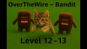 OverTheWire Bandit Level 12→ Level 13- Complete Walkthrough