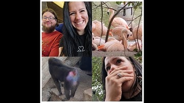 Naar dierentuin Artis in Amsterdam || Beaulien vlog 101