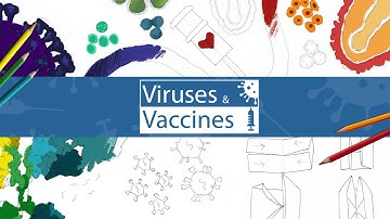 Viruses and Vaccines time lapse: Fold DNA