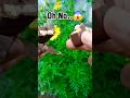 Oh No!!😱#chocolate#food#candy #viral#subscribe#motivation#news #new#ai#asmr#trending#tiktok #funny#x