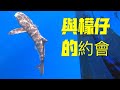 [釣魚]我與檬仔(海鱺)有個約會~[rachycentron canadum]