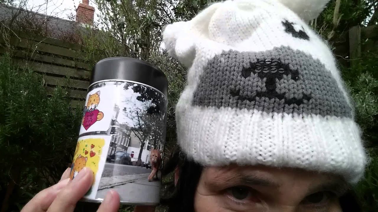 BOB's World Cat Cafe and Bobfest contribution YouTube