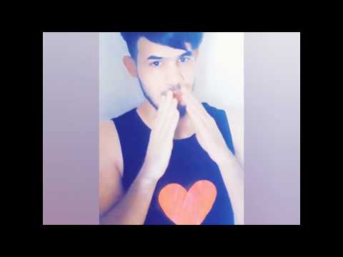 اجتك طايره لونه احوي