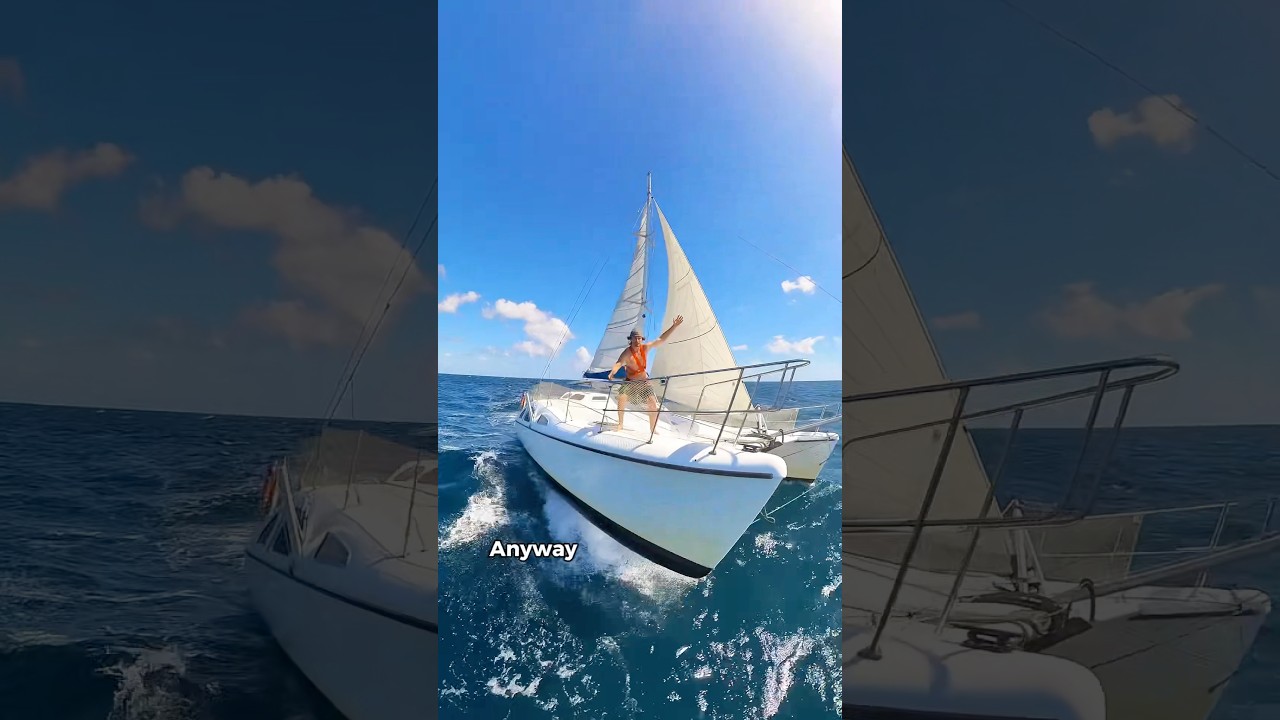 ⁣Life of a catamaran 🏴‍☠️ #boatlife #treasurehunting #dog #ocean #sailor