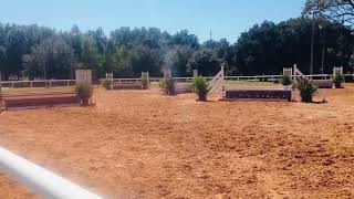 Rachel Robbins, hunter Jumper, riding Kramer and competing at horse show GOHJA, Apopka, Fl