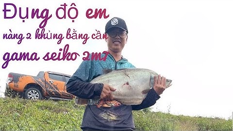 Câu cá thác lác cườm (nàng 2) khủng bằng cần 2m7 và cái kết...