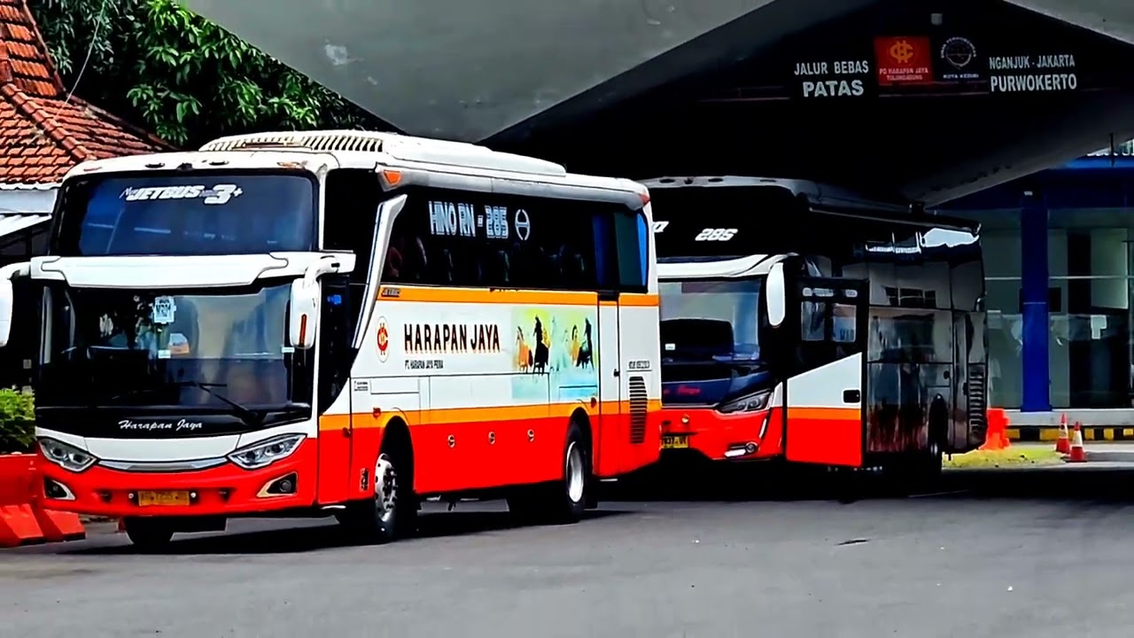 Bus Harapan Jaya Dan Bus Bagong Mayoritas Di Terminal Ini