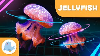 Jellyfish 👾 Animals for Kids 🌊 Episode 9