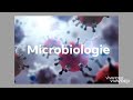 Microbiologie  1er cours  dfinition structure  classification des virus