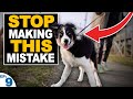 5 Mistakes People Make When Teaching A Puppy To Walk On Leash