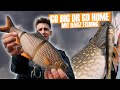 Big baits angeln mit harz fishing i go big or go home folge 2