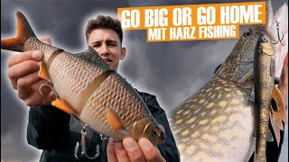 BIG BAITS ANGELN mit Harz Fishing I GO BIG OR GO HOME Folge 2
