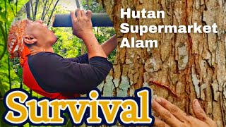 SURVIVAL !!! Kelabang pun boleh, Lurr , Hutan adalah Supermarket