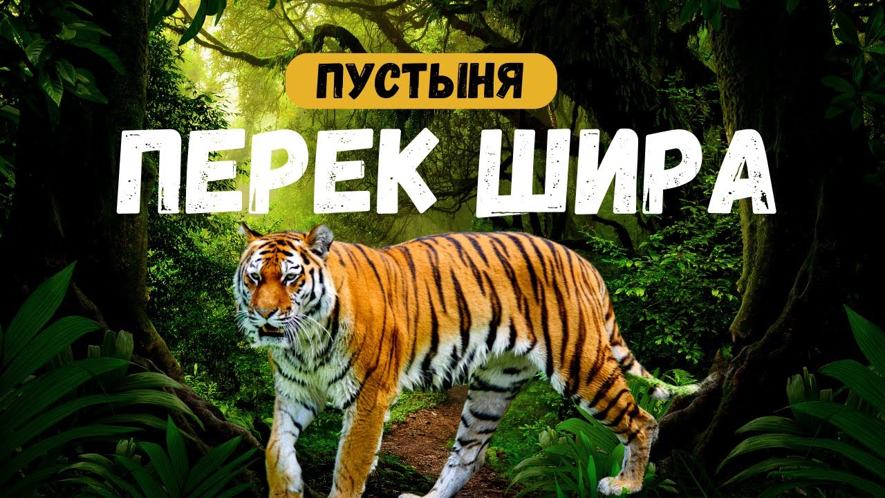 Перек Шира/ урок 5/ Пустыня - YouTube