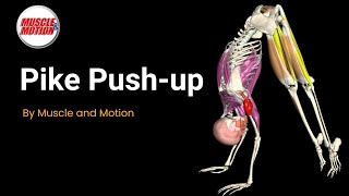 Master the Pike Push-Up: Shoulder Press Reimagined