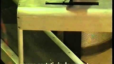 la Biennale - MAX DEAN