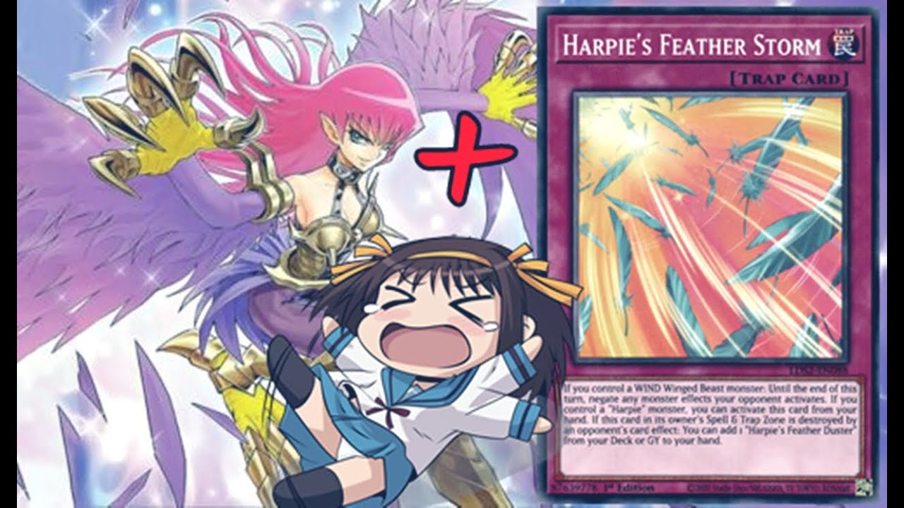 Harpie Feather Storm + Cyber Slash Harpie make my opponent QUIT