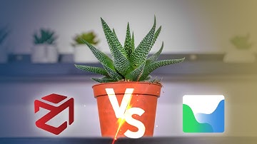 3DF Zephyr VS Agisoft Metashape - INTRICATE Scans