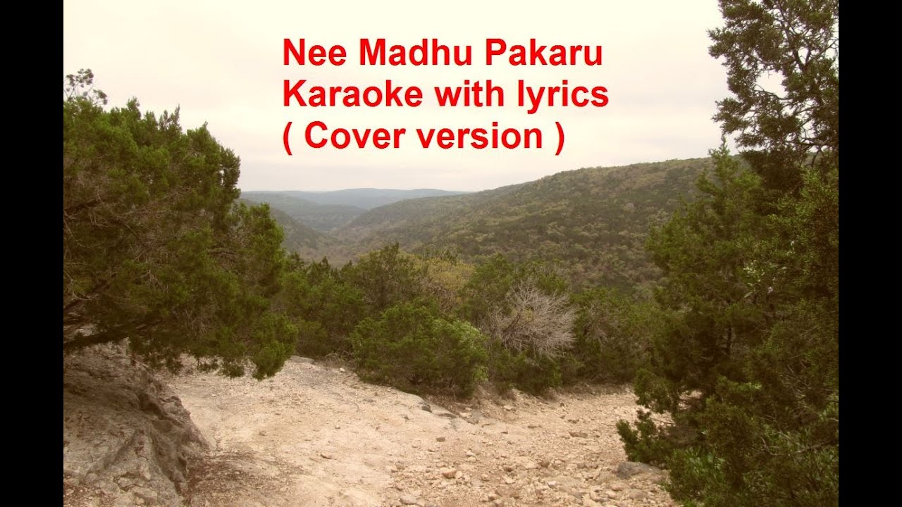 Nee Madhu Pakaru Malayalam Karaoke with Lyrics  Cover version