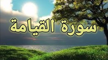 سورة القيامة(كاملة) تلأوة هادئة تريح الأعصاب(سبحان من رزقه هذا الصوت  القارئ اياد مهرة