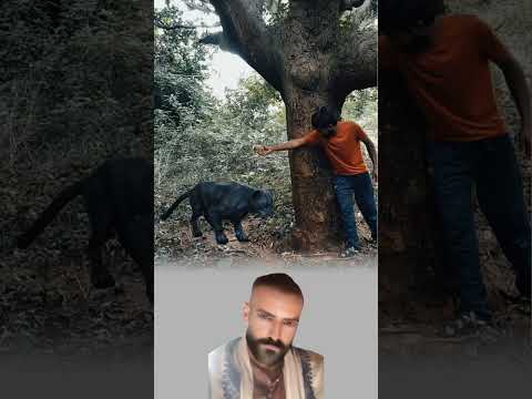 الوحش قد ي فترس لكنه ي سكن حين يشعر بالرحمة ت لامس روحه تصميمي اكسبلور 