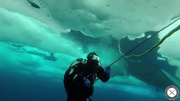 U.S. Coast Guard, Navy Conduct Ice Dives in the Arctic