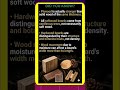 Did you know softwood board come from coniferous tree? #shorts #facts #mystery #didyouknow