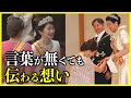 【紀子さまとレティシア王妃との間に...?】雅子さまとメアリー王妃との絆