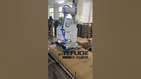 collaborative robot palletizer #chinarobot#packingmachine
