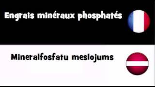 VOCABULAIRE EN 20 LANGUES = Engrais minéraux phosphatés