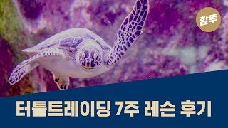 291. [초보] 터틀 트레이딩을 한국에서 배운 후기