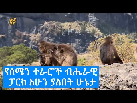 ቪዲዮ: የነጭ ተራራ ብሔራዊ ደን፡ ሙሉው መመሪያ