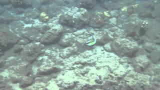 2014 0706 Snorkeling 08