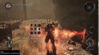 Nioh - 100% Elemental Damage Reduction Is Possible