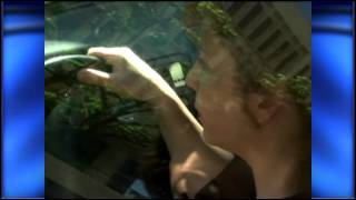 2 Year Anniversary of Kyron Horman's Disappearance - Jun 4th, 2012