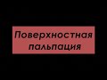 Осмотр живота  Поверхностная пальпация