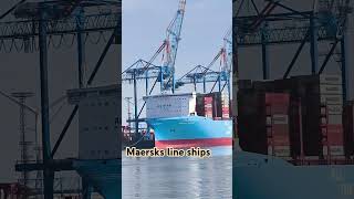 #maerskline #ship #cargoship #europevoyage