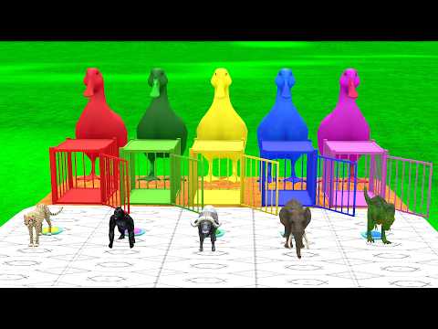 Duck Long Slide Game With Elephant Gorilla Buffalo T-rex Leporid 3d Animal Game Funny 3d Animals by Funny Cartoon Animals 3D Paint