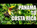 The Best of Panama to Costa Rica | UnCruise Cruise Vlog | The Planet D