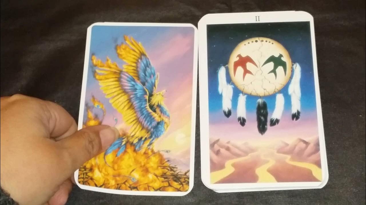 Tarot Review The Phoenix Cards By Susan Sheppard YouTube
