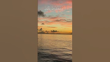 الشيخ أحمد العجمي سورة آل عمران (169-171) #قرآن