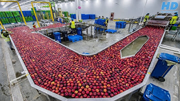 Modern Food Processing Technology - Automatic Machines Compilation Part 3