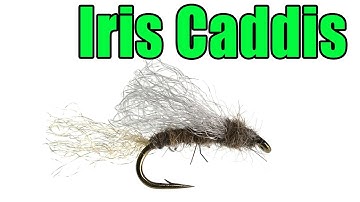 Iris Caddis Fly Tying - Craig Mathews Fly Pattern
